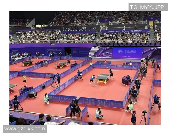 杭州乒乓球队的奋斗历程与荣耀时刻全景回顾